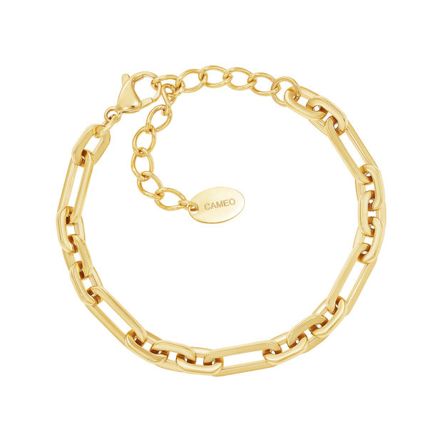 Assorted Paperclip Link Bracelet