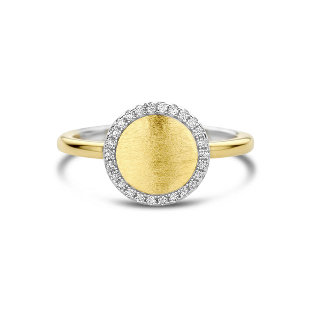 Brushed CZ Border Disc Ring in Yellow Gold